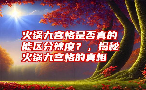 火锅九宫格是否真的能区分辣度？，揭秘火锅九宫格的真相