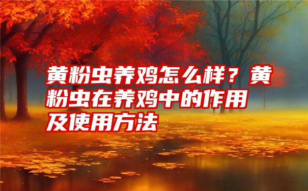 黄粉虫养鸡怎么样？黄粉虫在养鸡中的作用及使用方法