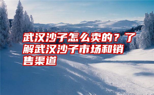 武汉沙子怎么卖的？了解武汉沙子市场和销售渠道