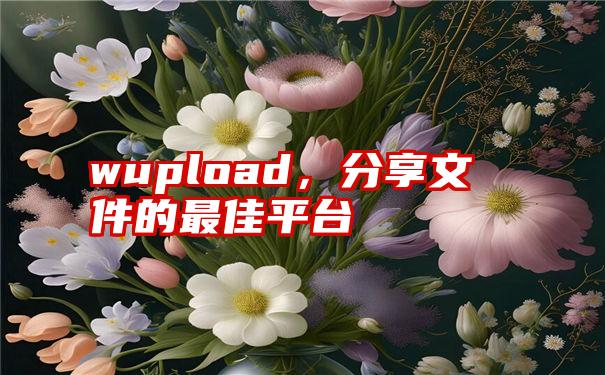 wupload，分享文件的最佳平台