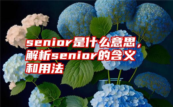 senior是什么意思，解析senior的含义和用法