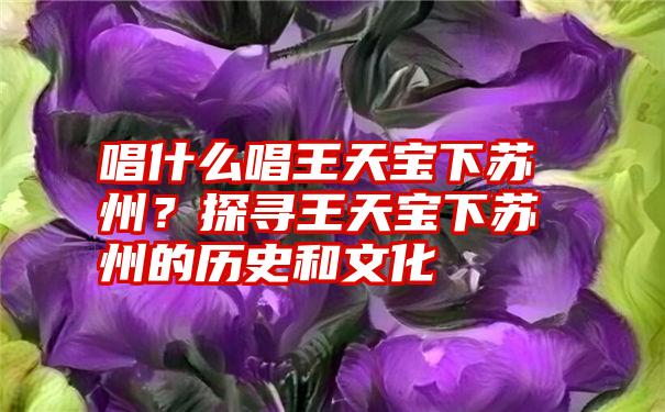 唱什么唱王天宝下苏州？探寻王天宝下苏州的历史和文化