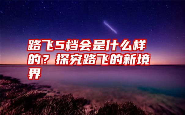 路飞5档会是什么样的？探究路飞的新境界