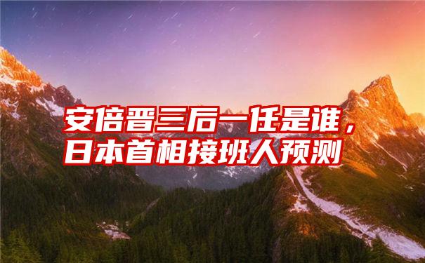 安倍晋三后一任是谁，日本首相接班人预测