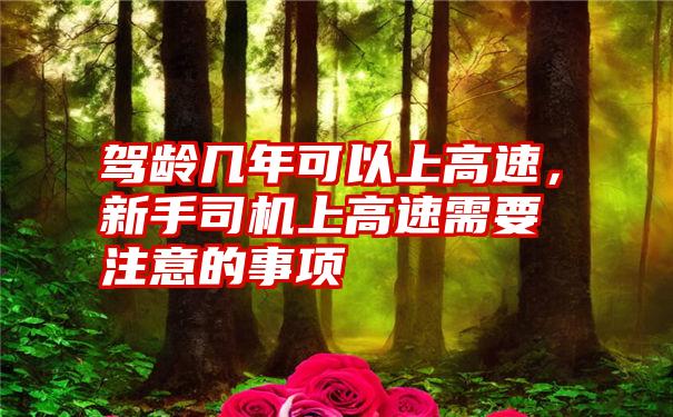 驾龄几年可以上高速，新手司机上高速需要注意的事项