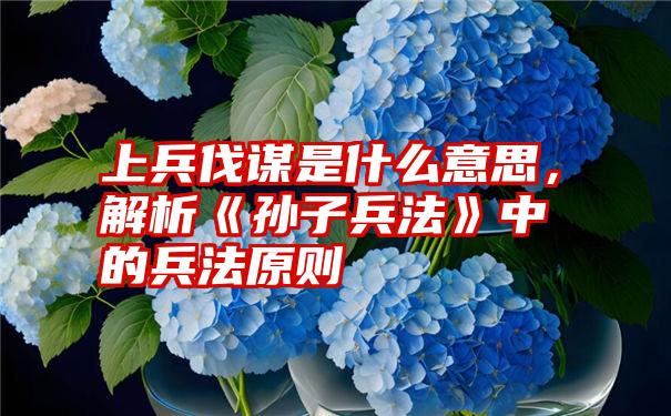 上兵伐谋是什么意思，解析《孙子兵法》中的兵法原则