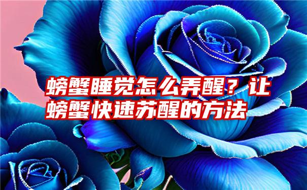 螃蟹睡觉怎么弄醒？让螃蟹快速苏醒的方法