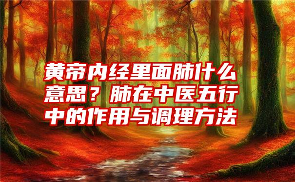 黄帝内经里面肺什么意思？肺在中医五行中的作用与调理方法