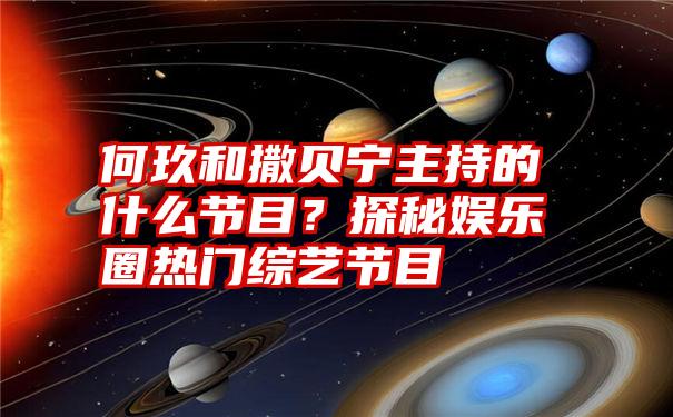 何玖和撒贝宁主持的什么节目？探秘娱乐圈热门综艺节目