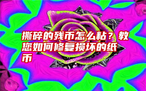 撕碎的残币怎么粘？教您如何修复损坏的纸币