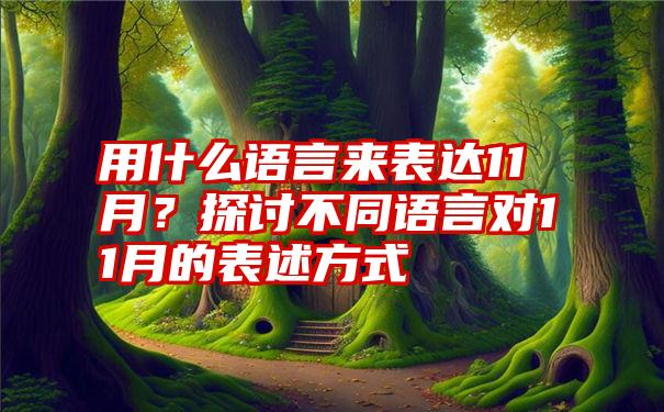 用什么语言来表达11月？探讨不同语言对11月的表述方式