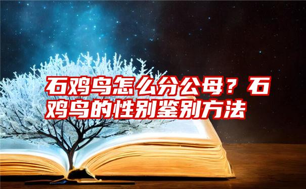 石鸡鸟怎么分公母？石鸡鸟的性别鉴别方法