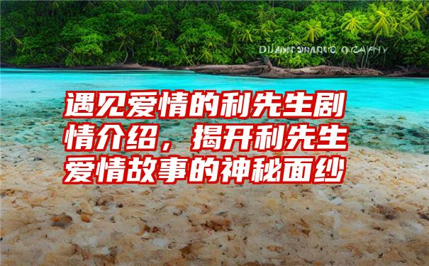 遇见爱情的利先生剧情介绍，揭开利先生爱情故事的神秘面纱