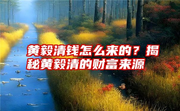 黄毅清钱怎么来的？揭秘黄毅清的财富来源