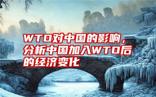 WTO对中国的影响，分析中国加入WTO后的经济变化