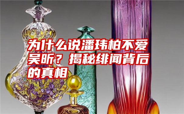 为什么说潘玮柏不爱吴昕？揭秘绯闻背后的真相