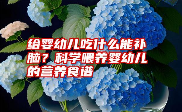 给婴幼儿吃什么能补脑？科学喂养婴幼儿的营养食谱