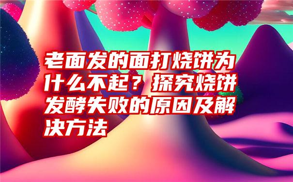 老面发的面打烧饼为什么不起？探究烧饼发酵失败的原因及解决方法