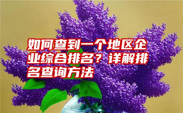 如何查到一个地区企业综合排名？详解排名查询方法