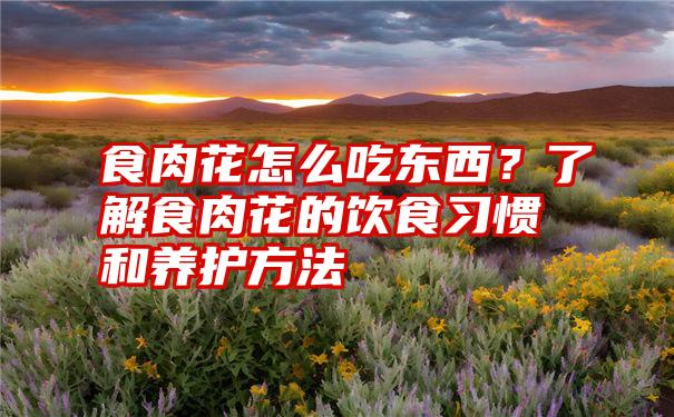 食肉花怎么吃东西？了解食肉花的饮食习惯和养护方法