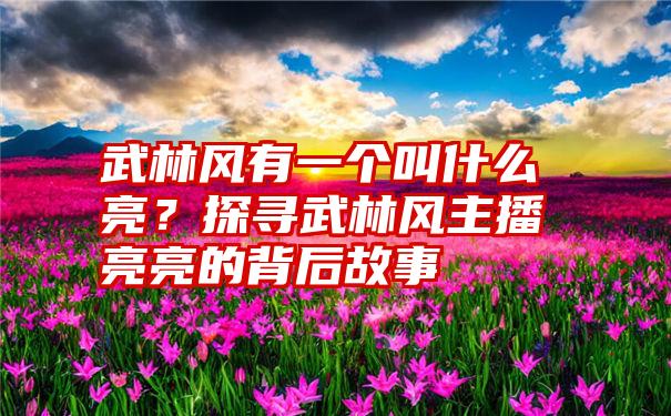 武林风有一个叫什么亮？探寻武林风主播亮亮的背后故事