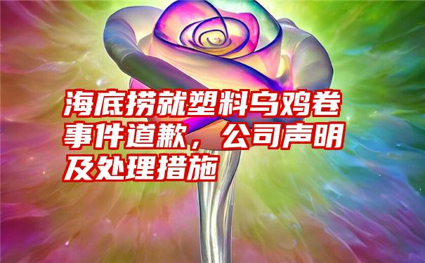 海底捞就塑料乌鸡卷事件道歉，公司声明及处理措施