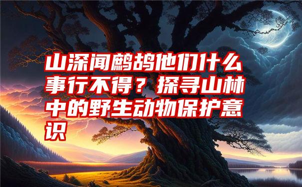 山深闻鹧鸪他们什么事行不得？探寻山林中的野生动物保护意识