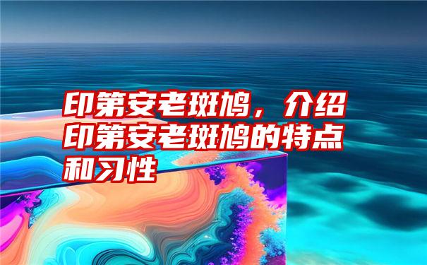 印第安老斑鸠，介绍印第安老斑鸠的特点和习性