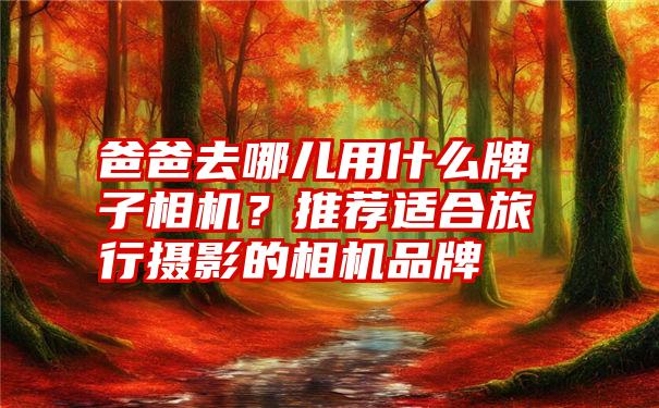 爸爸去哪儿用什么牌子相机？推荐适合旅行摄影的相机品牌