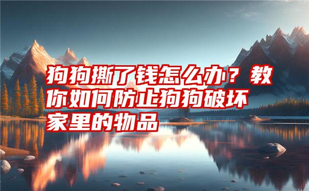 狗狗撕了钱怎么办？教你如何防止狗狗破坏家里的物品