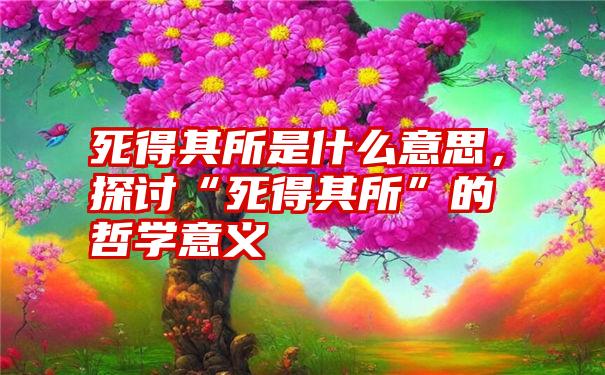 死得其所是什么意思，探讨“死得其所”的哲学意义