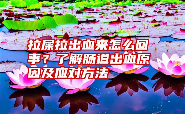 拉屎拉出血来怎么回事？了解肠道出血原因及应对方法