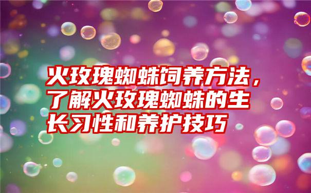 火玫瑰蜘蛛饲养方法，了解火玫瑰蜘蛛的生长习性和养护技巧