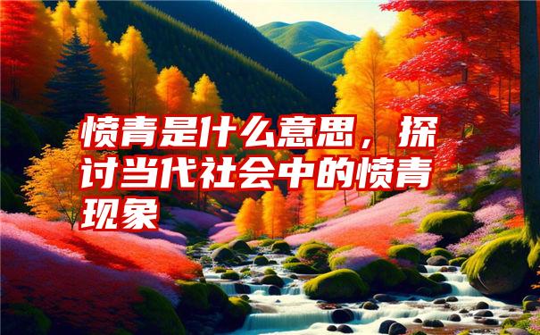 愤青是什么意思，探讨当代社会中的愤青现象