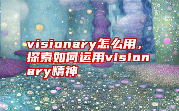 visionary怎么用，探索如何运用visionary精神