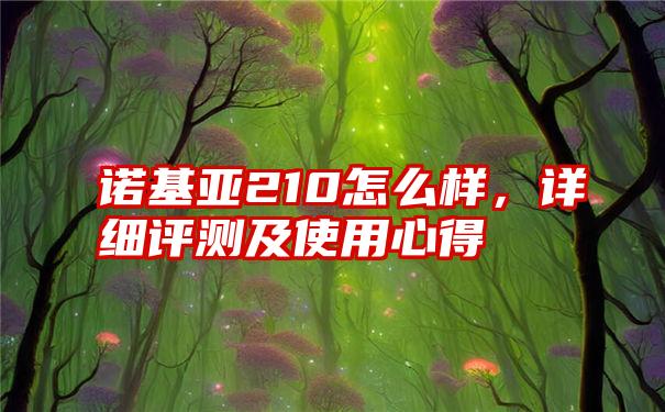 诺基亚210怎么样，详细评测及使用心得