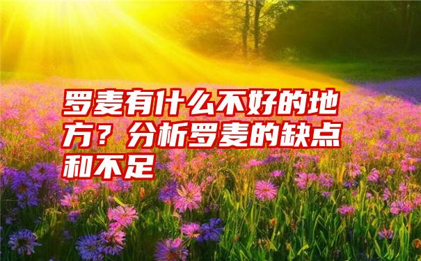 罗麦有什么不好的地方？分析罗麦的缺点和不足