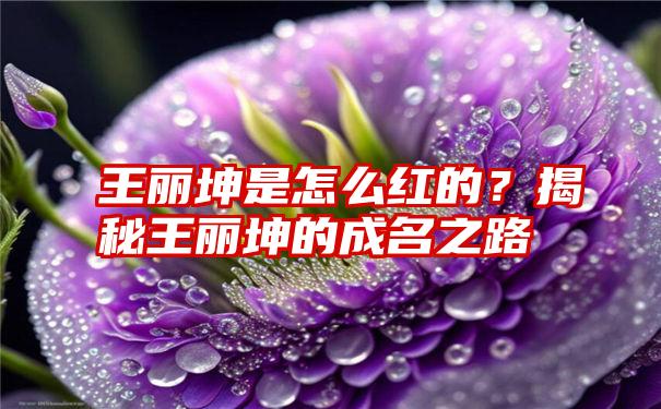 王丽坤是怎么红的？揭秘王丽坤的成名之路