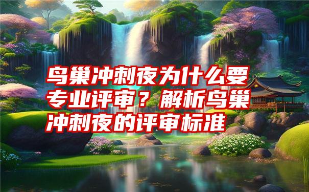 鸟巢冲刺夜为什么要专业评审？解析鸟巢冲刺夜的评审标准