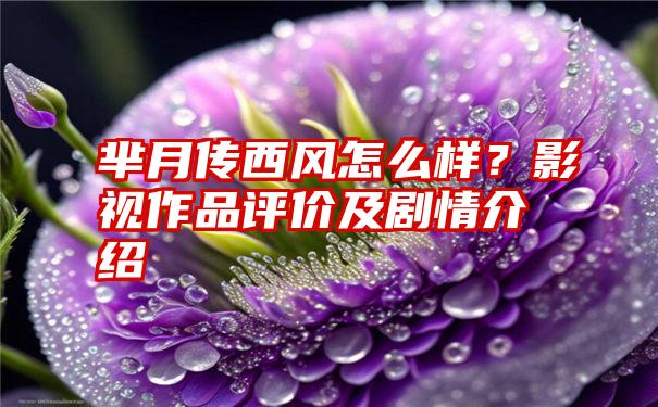 芈月传西风怎么样？影视作品评价及剧情介绍