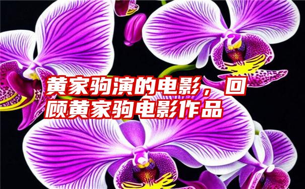 黄家驹演的电影，回顾黄家驹电影作品