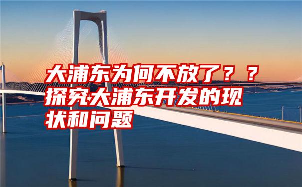 大浦东为何不放了？？探究大浦东开发的现状和问题