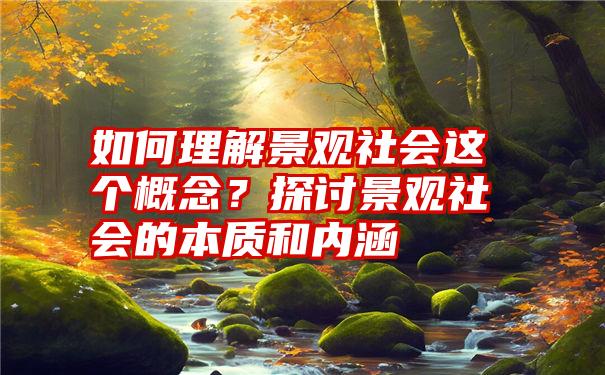 如何理解景观社会这个概念？探讨景观社会的本质和内涵