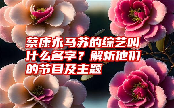 蔡康永马苏的综艺叫什么名字？解析他们的节目及主题