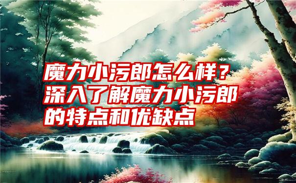 魔力小污郎怎么样？深入了解魔力小污郎的特点和优缺点