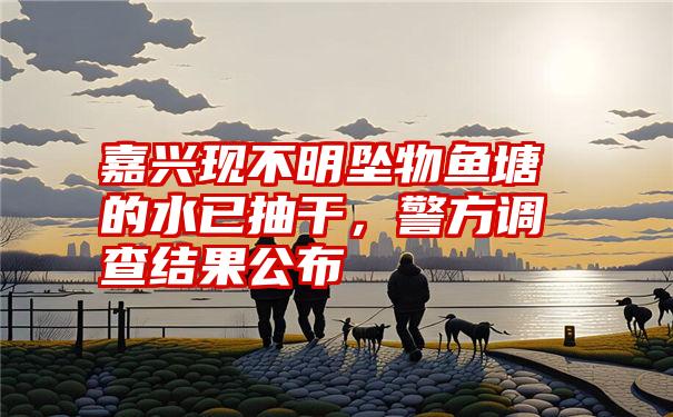 嘉兴现不明坠物鱼塘的水已抽干，警方调查结果公布