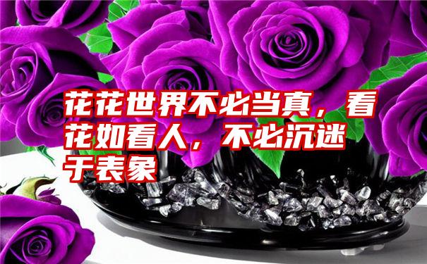 花花世界不必当真，看花如看人，不必沉迷于表象