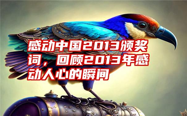 感动中国2013颁奖词，回顾2013年感动人心的瞬间