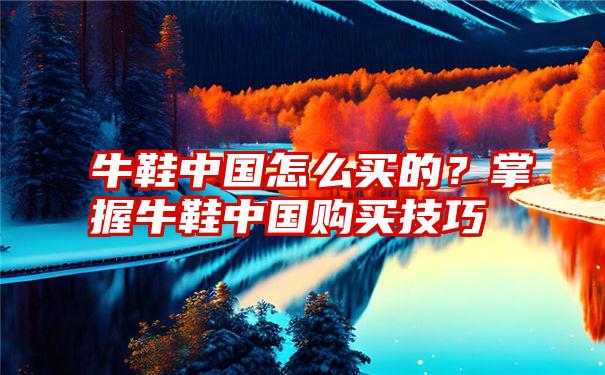 牛鞋中国怎么买的？掌握牛鞋中国购买技巧