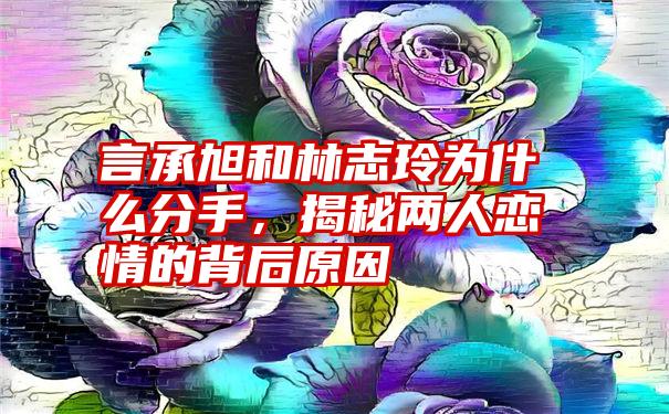 言承旭和林志玲为什么分手，揭秘两人恋情的背后原因